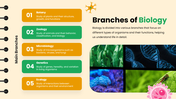 64828-biology-themes-for-powerpoint-03