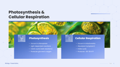 64858-free-powerpoint-templates-biology-04