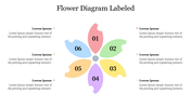 Flower diagram with six colorful petals labeled with numbers and text in pink, green, yellow, purple, orange, and blue.