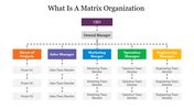 Hierarchy chart depicting a matrix organization with multiple managers overseeing different project teams.