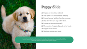 Slide featuring a golden puppy sitting on grass to the left, with a list of facts and a green text box on the right.