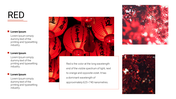 Slide showcasing red-themed visuals, including lanterns and red foliage, with text placeholders.