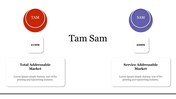 TAM and SAM comparison with colored circles, dollar values, and description boxes against a white background.