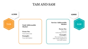 Business chart displaying TAM and SAM with two labeled sections and hexagon icons in orange and teal.