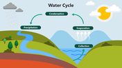 66011-water-cycle-01