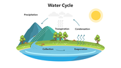 66011-water-cycle-06