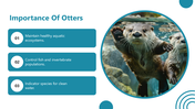 66049-world-otter-day-03