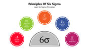 66104-principles-of-six-sigma-02
