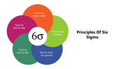 66104-principles-of-six-sigma-05