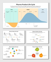 Pharma Product Life Cycle diagram with graphs, icons, and color-coded phases from development to decline.