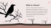 66139-biology-subject-for-high-school-the-raven-02