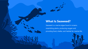 66140-biology-subject-for-high-school-seaweed-02