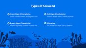 66140-biology-subject-for-high-school-seaweed-03