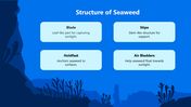 66140-biology-subject-for-high-school-seaweed-05
