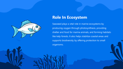 66140-biology-subject-for-high-school-seaweed-06