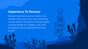 66140-biology-subject-for-high-school-seaweed-07