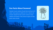 66140-biology-subject-for-high-school-seaweed-09