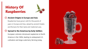 66144-national-raspberry-day-03