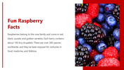 66144-national-raspberry-day-05