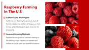 66144-national-raspberry-day-08