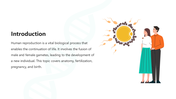 66145-biology-subject-for-high-school-human-reproduction-02