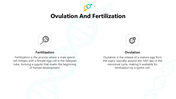 66145-biology-subject-for-high-school-human-reproduction-04