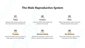 66145-biology-subject-for-high-school-human-reproduction-05