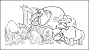66220-animal-coloring-book-02