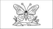 66222-butterfly-coloring-book-02