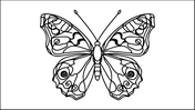 66222-butterfly-coloring-book-08