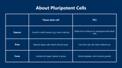 66248-biology-subject-for-high-school-stem-cells-06