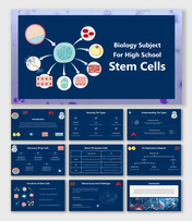 Biology Subject For High School Stem Cells slides with diagrams, types, uses, ethics, and blue scientific theme.