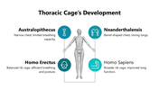 66249-biology-subject-for-high-school-thoracic-cage-06