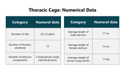 66249-biology-subject-for-high-school-thoracic-cage-08