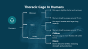 66249-biology-subject-for-high-school-thoracic-cage-09