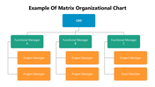 66253-example-of-matrix-organizational-chart-01