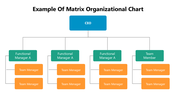 66253-example-of-matrix-organizational-chart-03