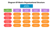 66254-diagram-of-matrix-organizational-structure-02