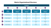 66256-sample-matrix-organizational-structure-01