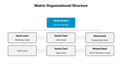 66256-sample-matrix-organizational-structure-03