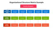 66257-organizational-structure-matrix-example-01