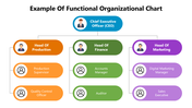 66259-example-of-functional-organizational-chart-01