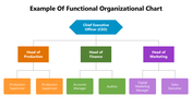 66259-example-of-functional-organizational-chart-02