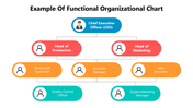 66259-example-of-functional-organizational-chart-03