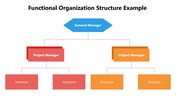 66262-functional-organization-structure-example-04