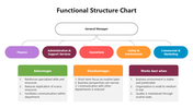 66263-functional-structure-chart-04