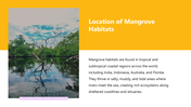 66266-biology-subject-for-high-school-mangrove-habitat-03