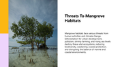 66266-biology-subject-for-high-school-mangrove-habitat-08