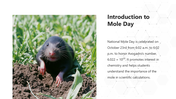 66352-national-mole-day-02