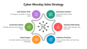66474-cyber-monday-sales-strategy-infographics-01